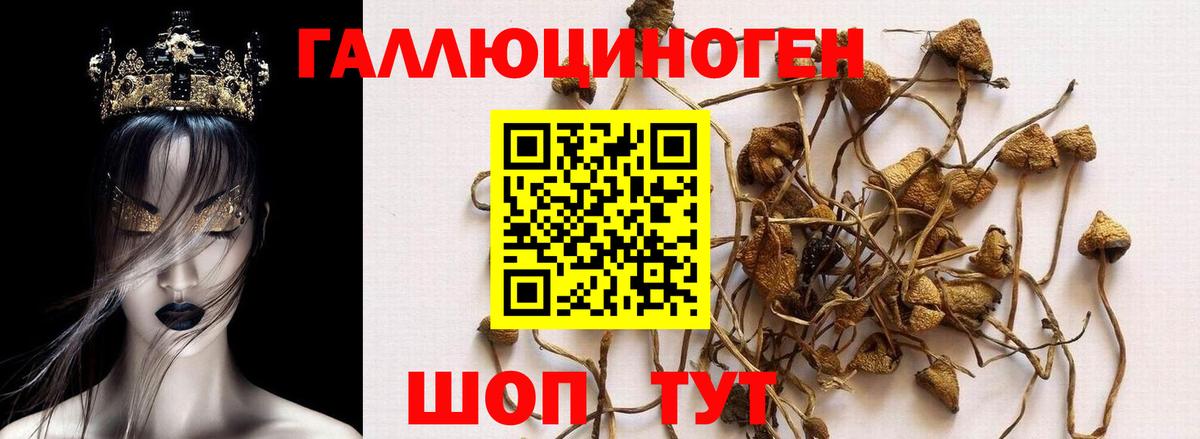 Псилоцибиновые грибы Magic Shrooms  Галлюциногенные грибы Cubensis  Вход с VPN  Верхняя Пышма 