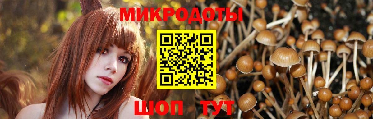 Галлюциногенные грибы мицелий Верхняя Пышма